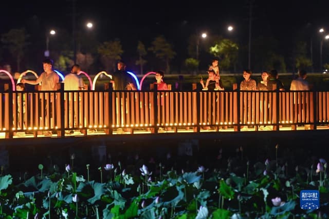 浙江富阳:乡村荷塘边办起音乐会
