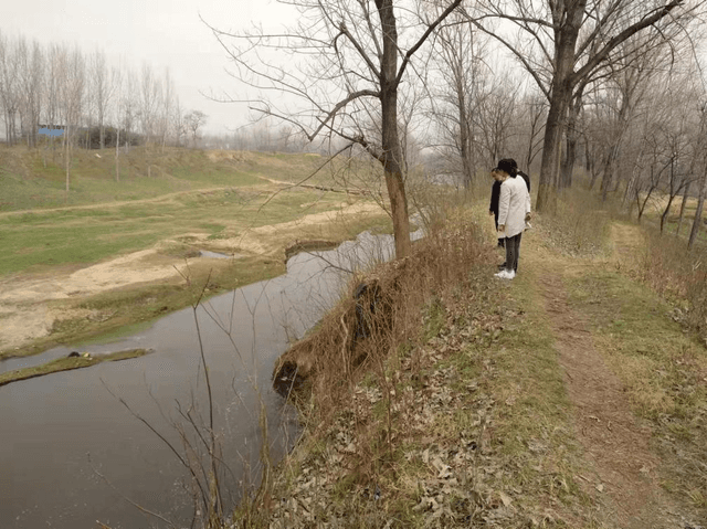 南阳市卧龙区陆营镇:脚踏实地发现问题 持之以恒整治人居环境