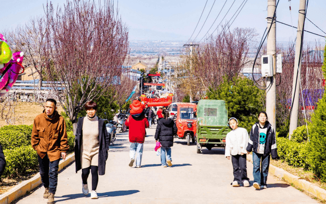 山西夏县：十里杏花成美景