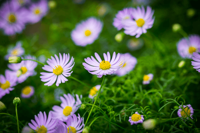 胡某宇事件,留下的思考不应止于“破案”