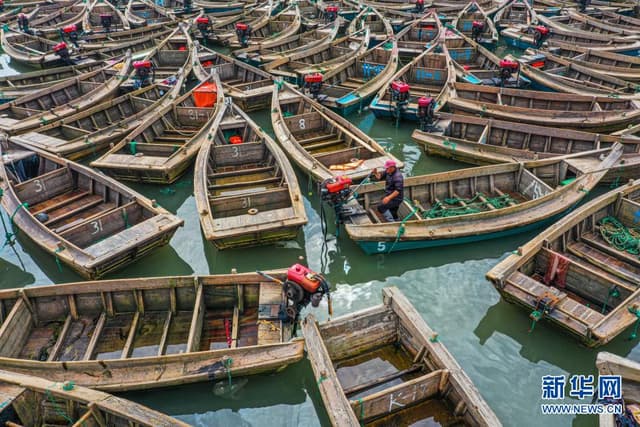山东：全力应对台风“烟花”