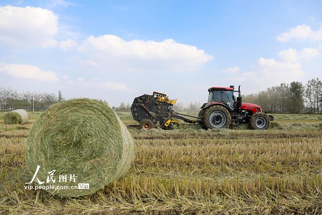 江苏淮安:秸秆回收 环保增收