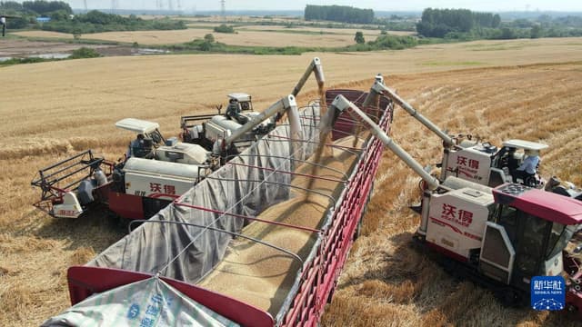 喜迎二十大|安徽:激发活力争创新优势