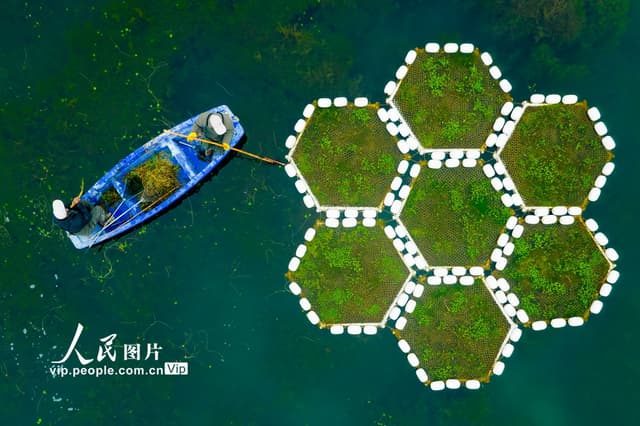 江苏宿迁:清理河道 保护生态