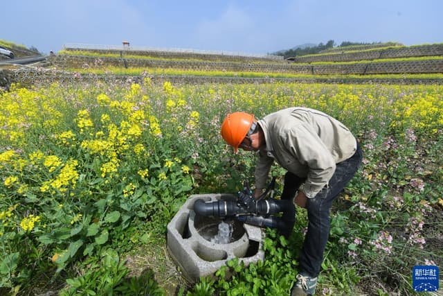 “海绵农田”助力美丽乡村共同富裕