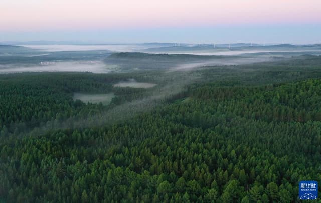 总书记多次考察后,河北生态治理做了什么?