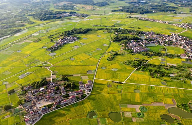 江西金溪:示范创建促粮食增产增效