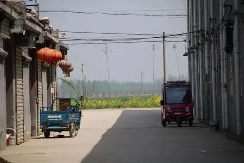 为何从县到村全部失察失守?“丰县生育八孩女子”事件再揭基层治理四大顽疾