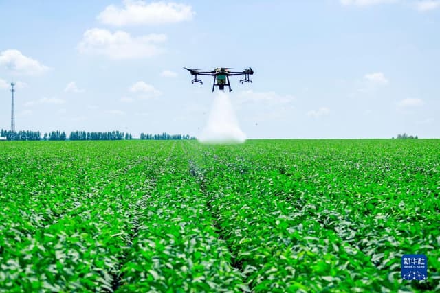 黑龙江海伦:“金豆”产业绘就“中国大豆名城”新画卷