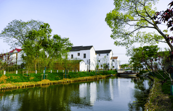 江苏新吴东塘街村:“党建+”模式赋能 打造文明新农村