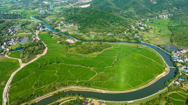 安徽庐江:引来清泉润稻田