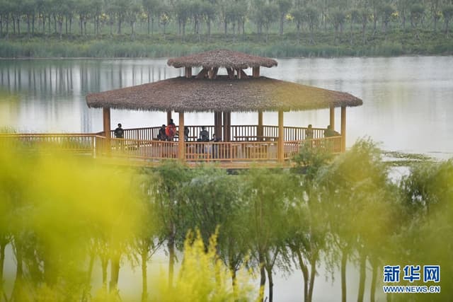 天津:打造生态廊道 建设城市“绿肺”