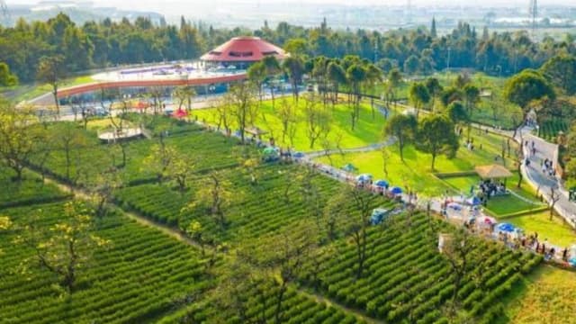 浙江团石村:党建引方向 蝶变展新颜