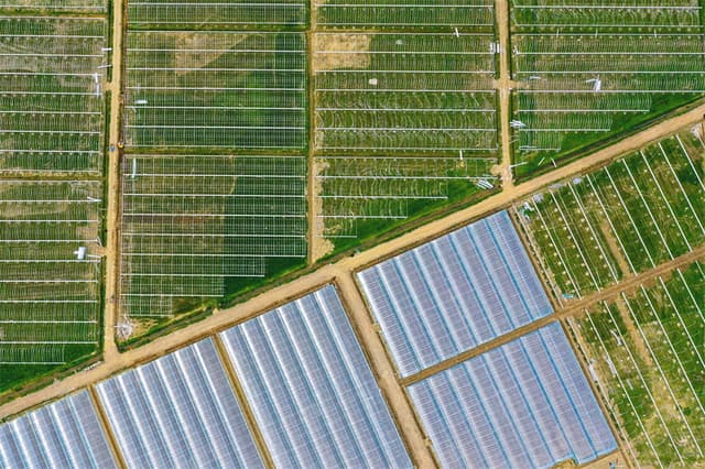 江西乐安:致富棚 搭建忙