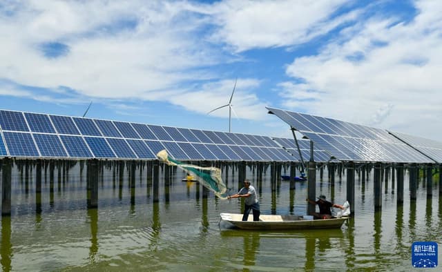 天津宁河:光伏鱼塘上奏响绿电“渔光曲”