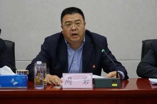 31岁晋升副局级，周岩今被双开