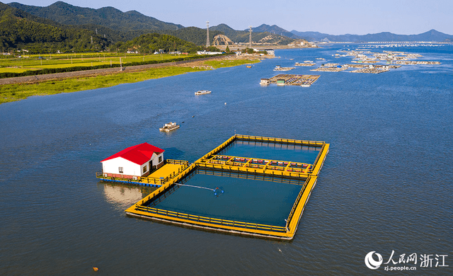 浙江象山:绿色网箱助推生态富民