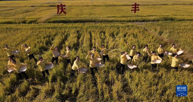 宁夏青铜峡:“塞上江南”庆丰收