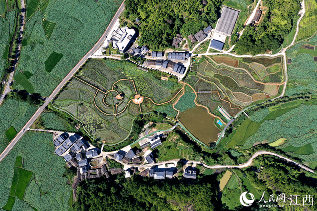 江西广昌姚西村:“嵌”在莲池的秀美山村