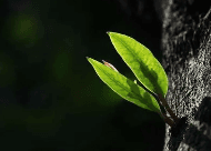 生命教育成了“网红课” 成长不是一道思考题,而是实践题