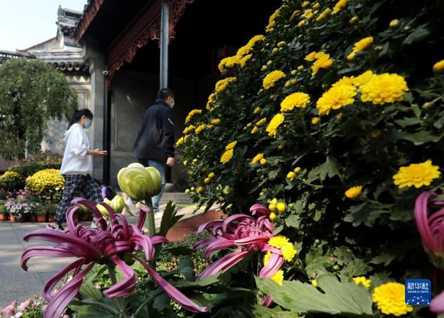 江苏苏州:狮子林赏秋菊