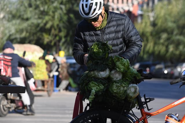 辽宁沈阳:秋菜上市 市民开启“囤菜模式”