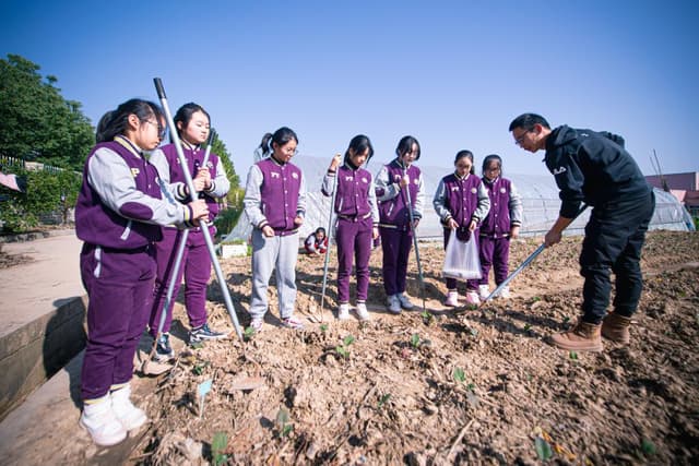 浙江诸暨：开拓校内劳动基地 推进中小学劳动教育