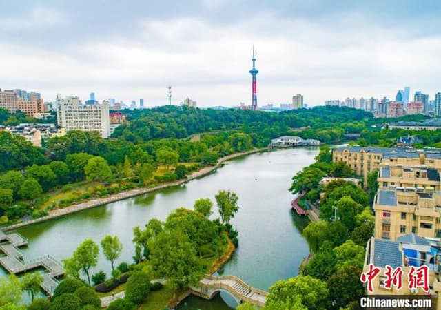 南京鼓楼:横跨19年接力“织补” 城市荒地变桃源