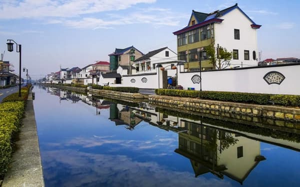 浙江杭州:文明之花处处绽放 美丽新风润泽乡村