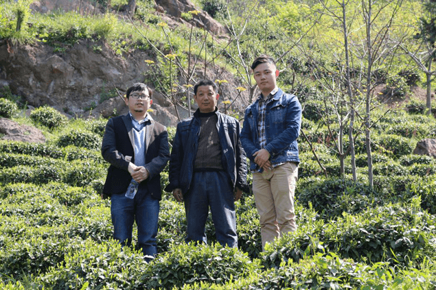 薪火相传，青春助力 ——安财学子探究亳州中医药文化传承与产业发展