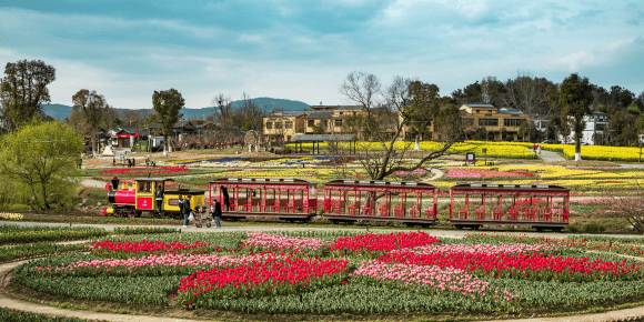 湖北黄陂:党建引领乡村振兴的“黄陂实践”