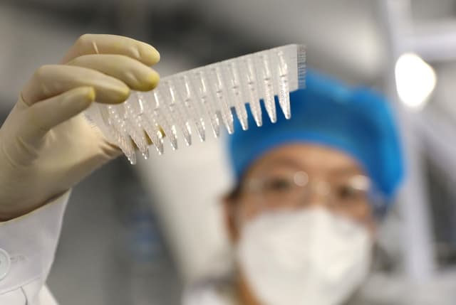 国家卫健委:坚持“动态清零”策略不动摇