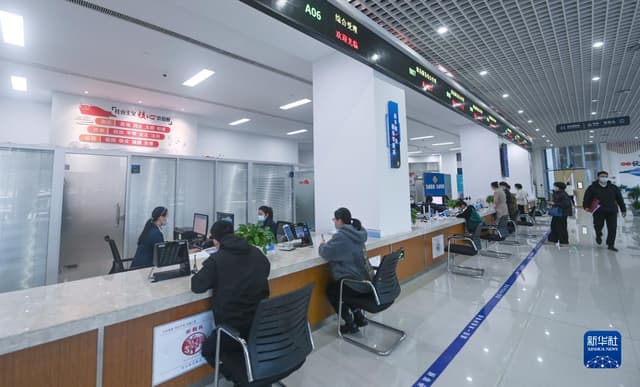 浙江岱山:海岛搭建“办事不出岛”数字化平台