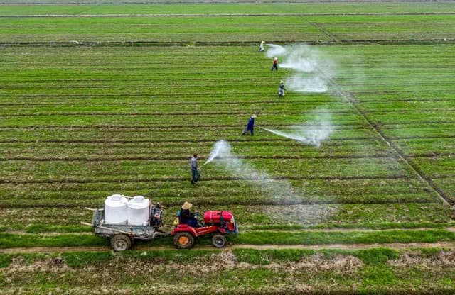 人勤春早,咱“耕”新啦!