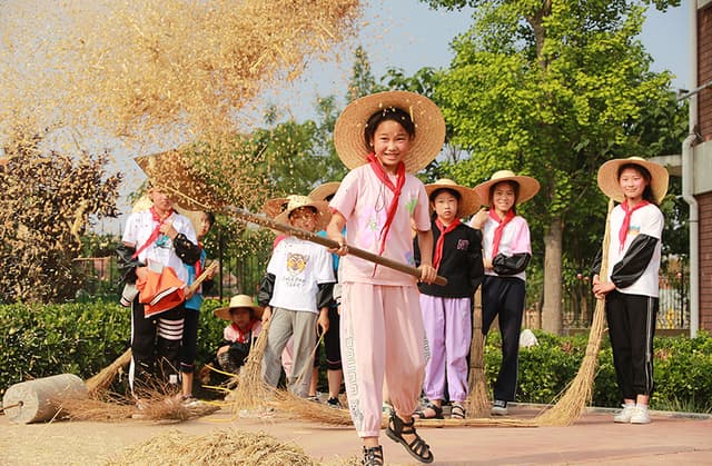 山东高密:校园农场夏收忙