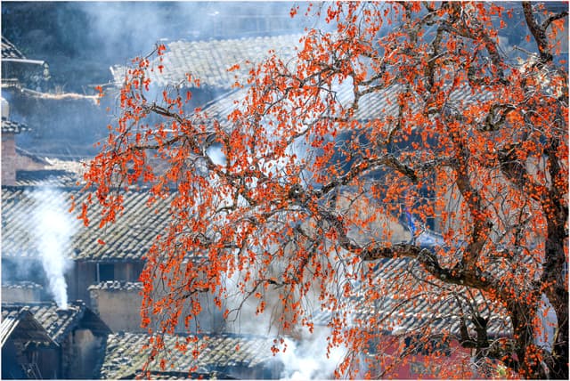 “美翻了,我的村”第三季:作品征集展示