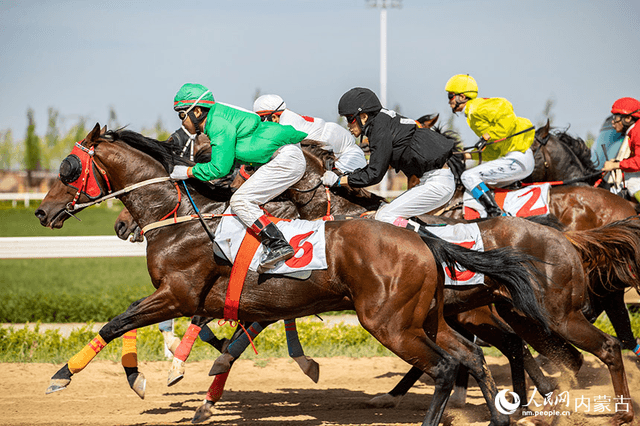 内蒙古呼和浩特:马背上的“速度与激情”